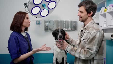 Confident-brunette-veterinarian-girl-in-a-blue-uniform-communicates-with-the-owner-of-a-black-and-white-dog-during-an-examination-in-a-veterinary-clinic