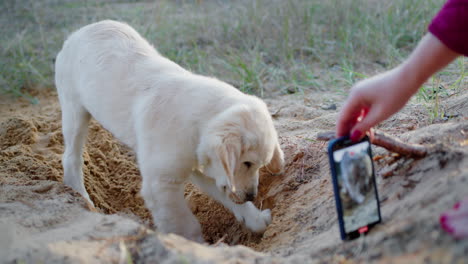 Der-Besitzer-Macht-Ein-Foto-Von-Einem-Welpen,-Der-Ein-Loch-In-Den-Sand-Gräbt.-Spaß-Mit-Ihrem-Haustier