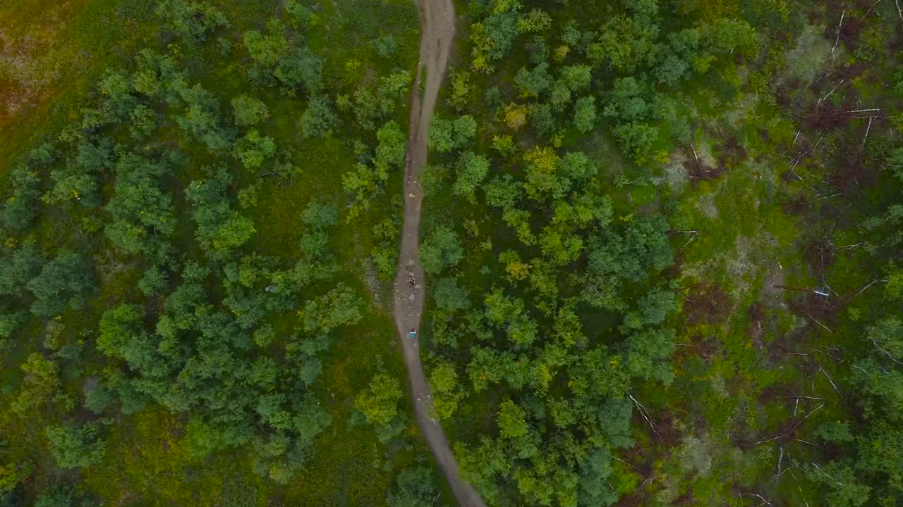 Top down aerial drone fotoage of multiple people or hikers walking on a muddy road in a Sweden forest during a cloudy day. The trees and landscape surrounding is green and vibrant, dirt road is brown.