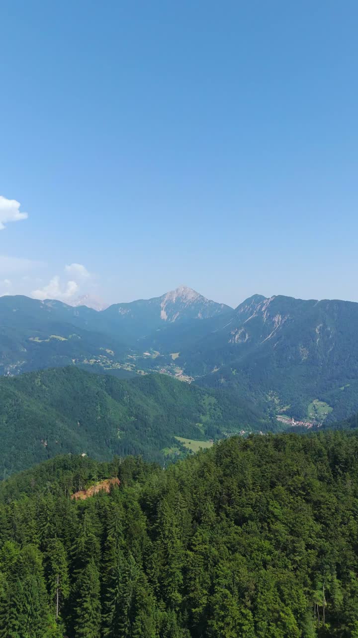 Vertical, aerial: mountain view in the Slovenian Alps with green high-altitude cattle pastures during the day, push in drone shot