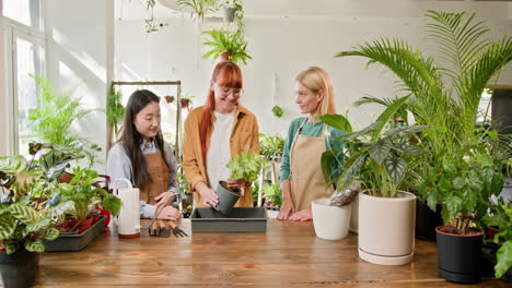 mujeres repotando plantas en una tienda de plantas