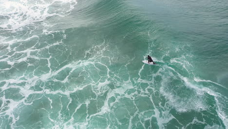 4k drone shot of a extreme sport surfer riding a big blue ocean wave at lennox head, australia