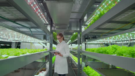 the reverse movement of the camera along the corridor a modern farm scientists in white coats inspect touch the green plants. the concept of modern agriculture vegetable growing the future genetically modified products