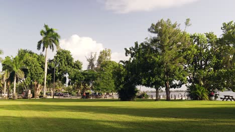 Tiro-Estático-De-árboles-En-Un-Parque-Junto-Al-Océano-En-La-Costa-Del-Golfo-En-Cape-Coral,-Florida