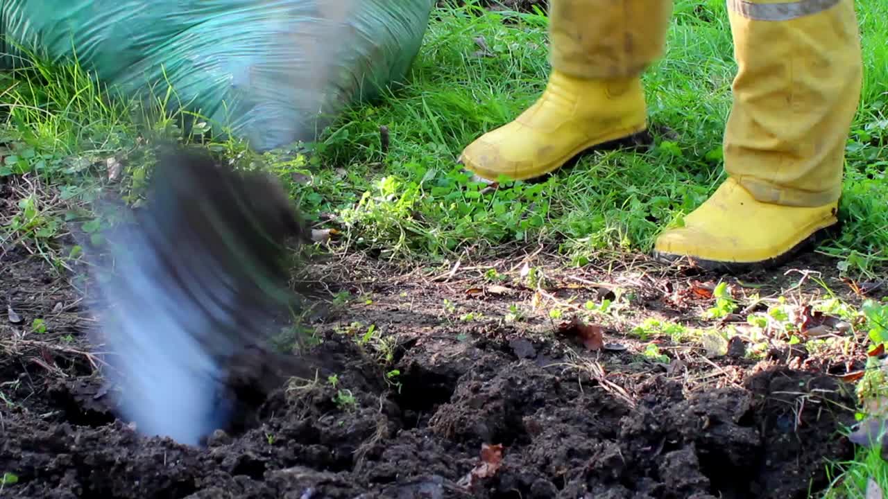 trabajador de equipo de la planta en el parque 6