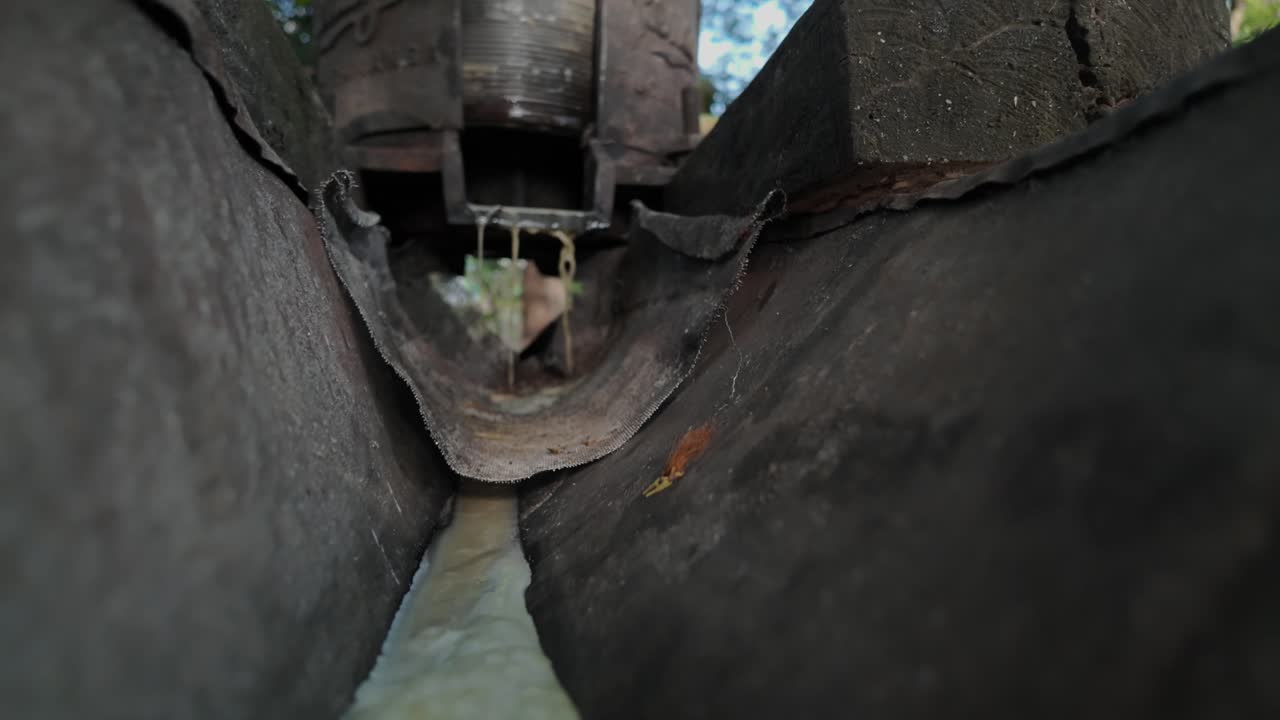 Sugarcane juice extraction process