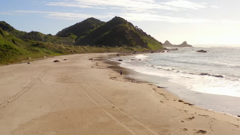 Fliegender-Mavic-2-Pro,-Nordpatagonischer-Strand-Mit-Weißem-Sand-Und-Immergrünem-Wald,-Gelegen-In-Chile