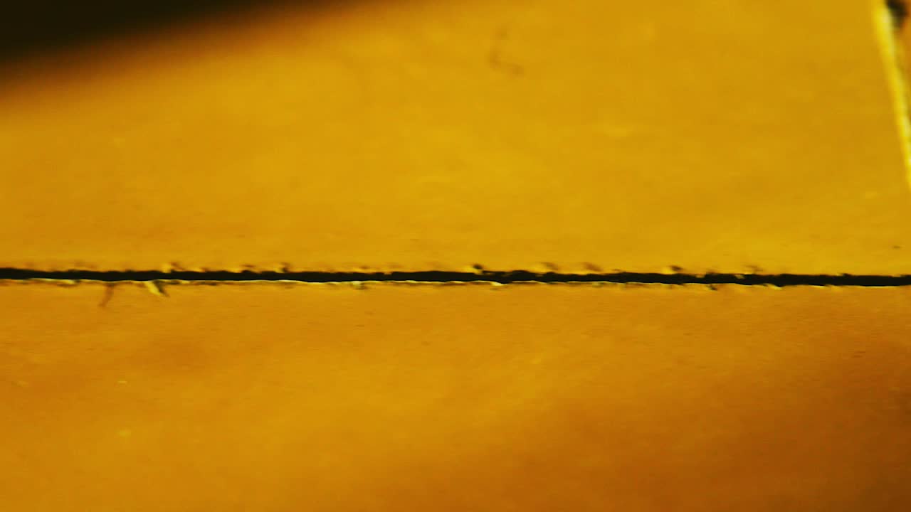 baldosas portuguesas amarillas con haz de luz solar dentro de una casa - cierre deslizante