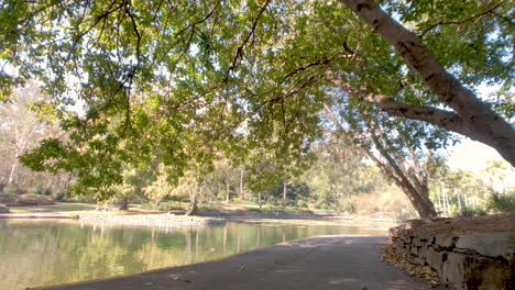 sun reflecting off pond onto trees and pathway