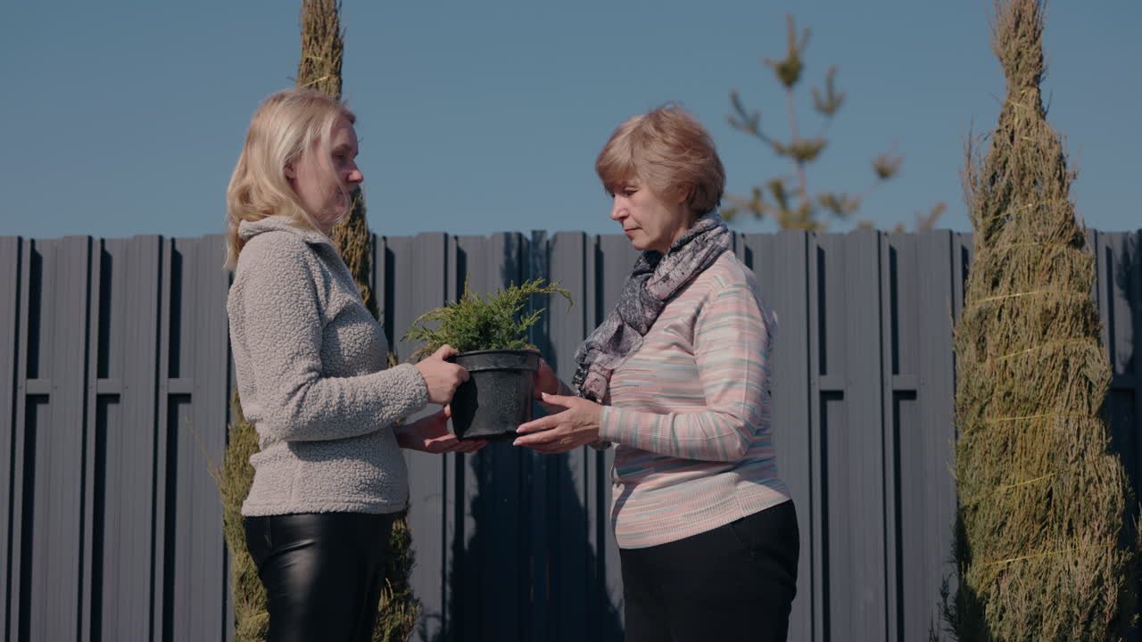 비 식물 을 공유 하는 두 여인