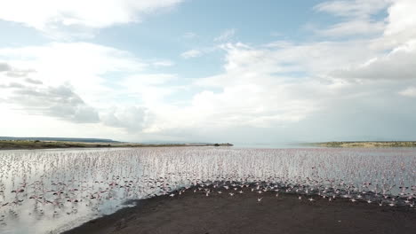 Hermosa-Toma-De-Drones-Pasando-Por-Un-Grupo-De-Flamencos-Rosados-Y-Blancos-En-El-Lago-Magadi,-Kenia,-áfrica-Oriental