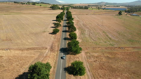 Camino-Pavimentado-En-La-Reserva-Natural-De-Simonsberg-En-La-Finca-Vinícola-De-Stellenbosch-En-La-Provincia-Del-Cabo-Occidental,-Sudáfrica