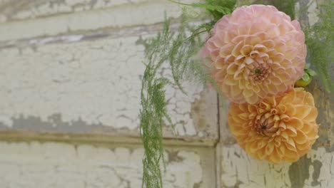 flores de dalia y un trozo de madera vintage