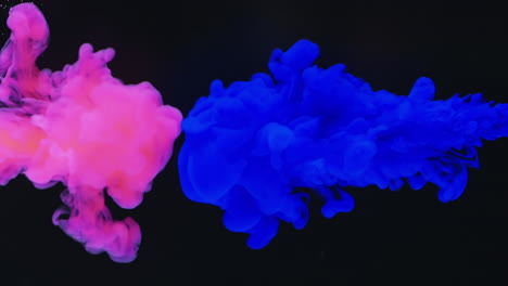 video en cámara lenta de tinta de acuarela rosa y azul mezclándose en agua contra un fondo negro