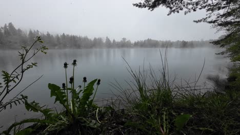 Große-Schneeflocken-Fallen-Im-Frühling-Auf-Löwenzahn-Und-Gras-Mit-Einem-Mystischen-See-Und-Einer-Kleinen-Hütte-Im-Hintergrund