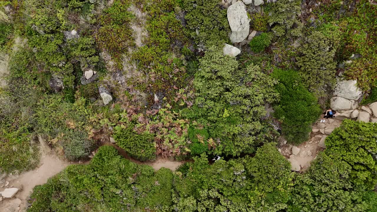 Aerial view of a natural landscape with trees and rocks
