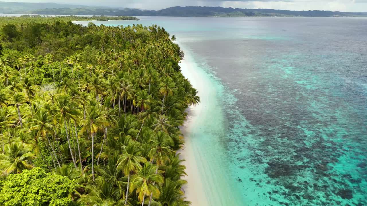 En fantastisk, stillestående 4k dronevideo af en smuk tropisk strand på Banggaiøerne i Sulawesi, Indonesien. Du kan se junglen og palmerne langs den hvide sandstrand og det lyseblå hav.