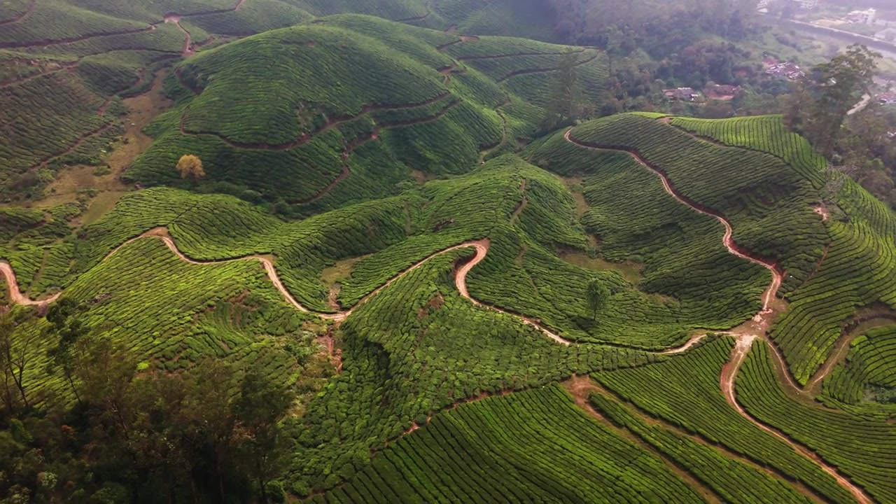 Panoramica mozzafiato con drone di dolci colline con giardini di tè a terrazze a Munnar.