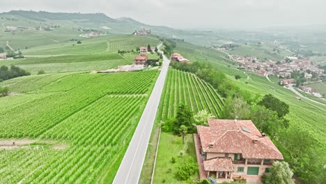 Wunderschöne-Italienische-Weinberge