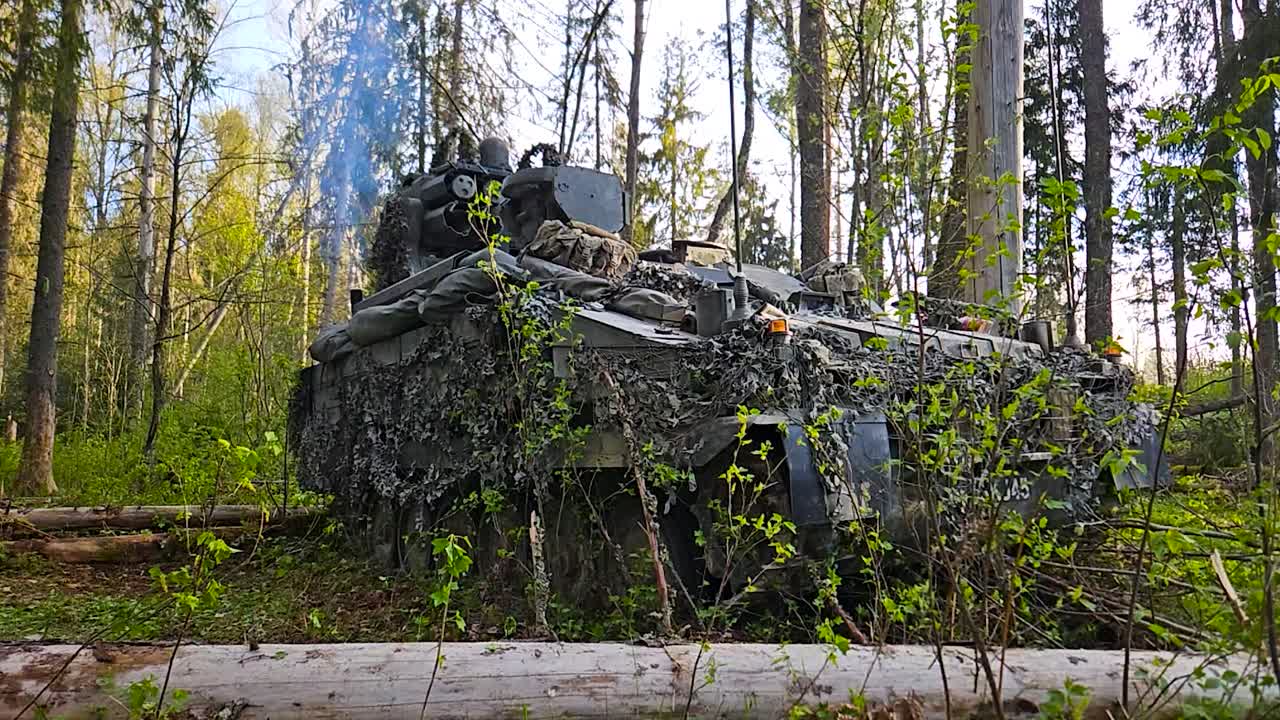 Vibrant colored low angle footage of a british army or military Warrior FV510 personnel carrier vehicle or tank running and hiding in a summer sunny forest with camouflage net on it to hide it better.