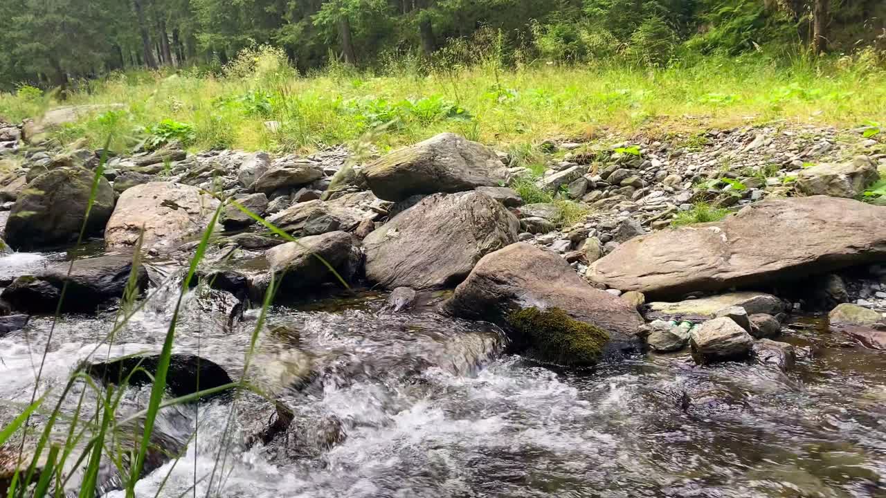 Pan across babbling brook flowing water stream surrounded by smooth river rocks and tall grass