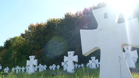 cemetery with white crosses