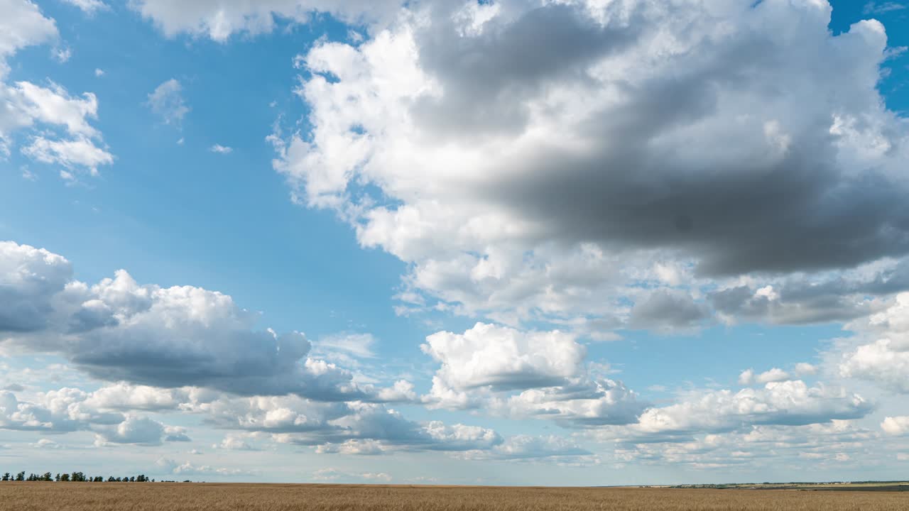 hermosas nubes en el campo, lapso de tiempo, verano hermoso paisaje, bucle de video