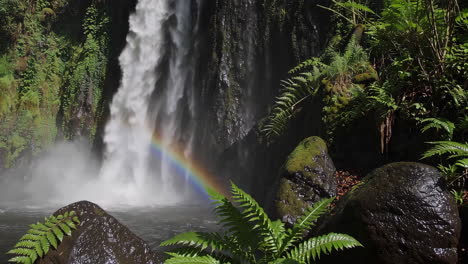 rainbow waterfall in a lush rainforest