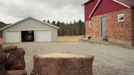 axe in log woods - close up