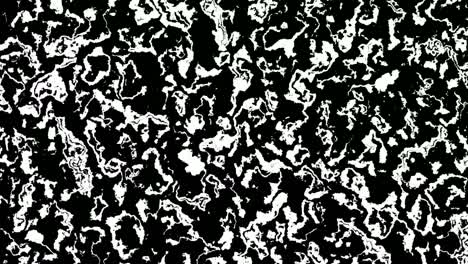 animation of haphazard black and white patterns floating and rotating on its axis