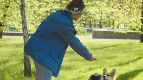 woman playing with her corgi dog in a sunny park