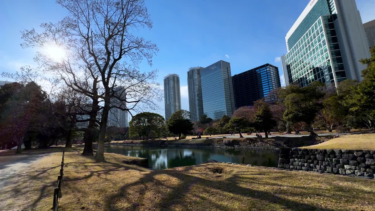 A serene park view with a pond, trees, and modern buildings in Hama Rikyu Gardens