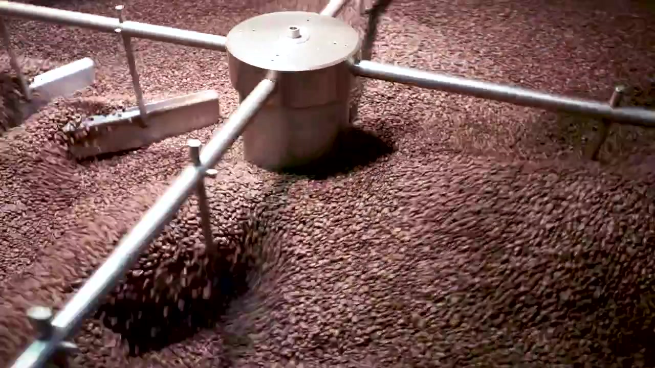 full HD 1080p 30fps - Chilling Roasted coffee beans on spinning cooling tray