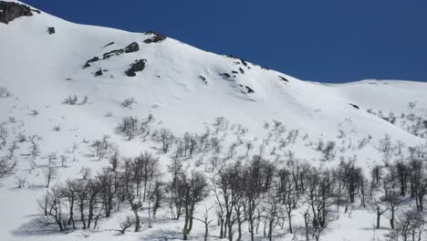 Dolly-in-rising-over-snow-covered-Piltriquitron-Hill-with-dead-trees-on-winter-season,-El-Bolsón,-Patagonia-Argentina