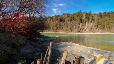 Treibholz-Unterwegs-Bei-Einer-Wanderung-Am-Grünen-Inn-Vor-Den-Tiroler-Bergen