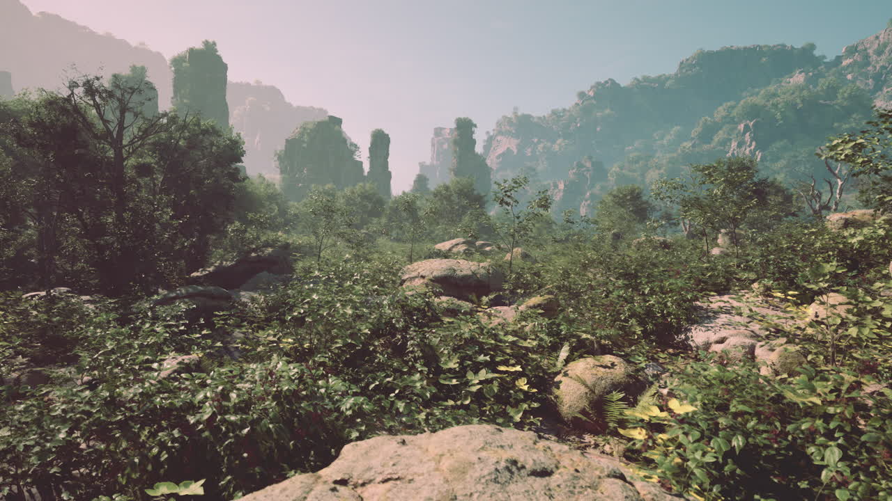 뒷면 에 높은 산 절벽 이 있는 울창 한 숲