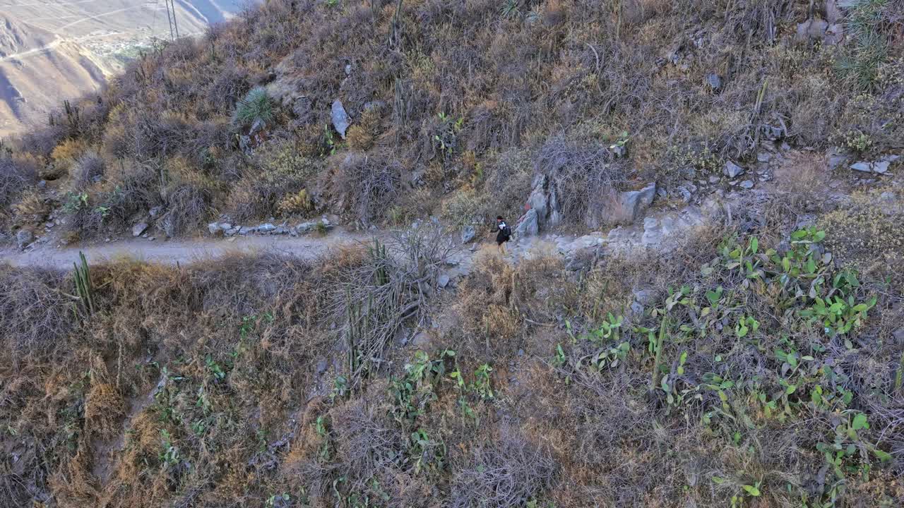 Un drone aereo segue e ruota attorno a una giovane donna in forma mentre percorre il famoso sentiero del Colca Canyon, scavato nella parete del canyon. Una ripresa emozionante e avventurosa di una delle principali attrazioni del Perù