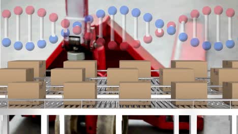 animation of dna strand over conveyor belts with boxes