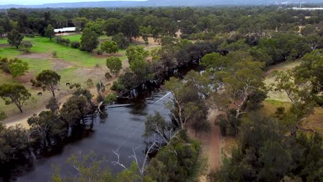 Vista-De-Pájaro-De-Una-Pequeña-Lancha-Rápida-Que-Viaja-A-Lo-Largo-De-Un-Río-Angosto