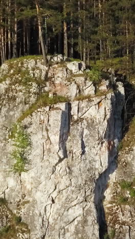 rocky cliff face with forest