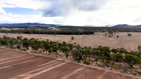 drone glides above dry farmland and tree-lined dirt road under cloudy skies, revealing expansive rural landscape and distant hills in natural daylight