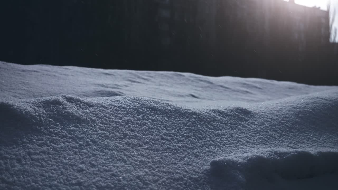 Close-up of Fresh Snow with Falling Snowflakes and Sunlight