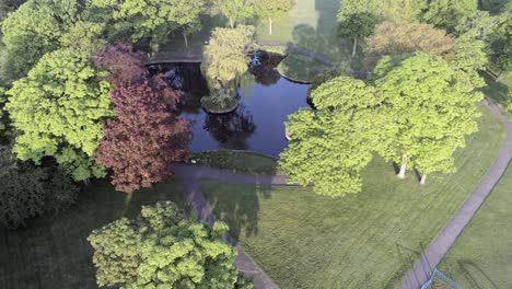 荒涼和平的公共公園 茂盛的湖泊花園的空中景色 樹頂上升向下傾斜