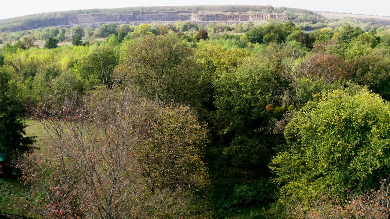 Beautiful nature landscape. Green trees in the forest on wonderful scenery background in the morning. Tranquil atmosphere of summer nature.