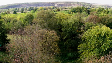 Beautiful nature landscape. Green trees in the forest on wonderful scenery background in the morning. Tranquil atmosphere of summer nature.