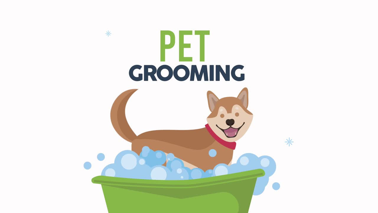 cute dog in bathtub bath time animation