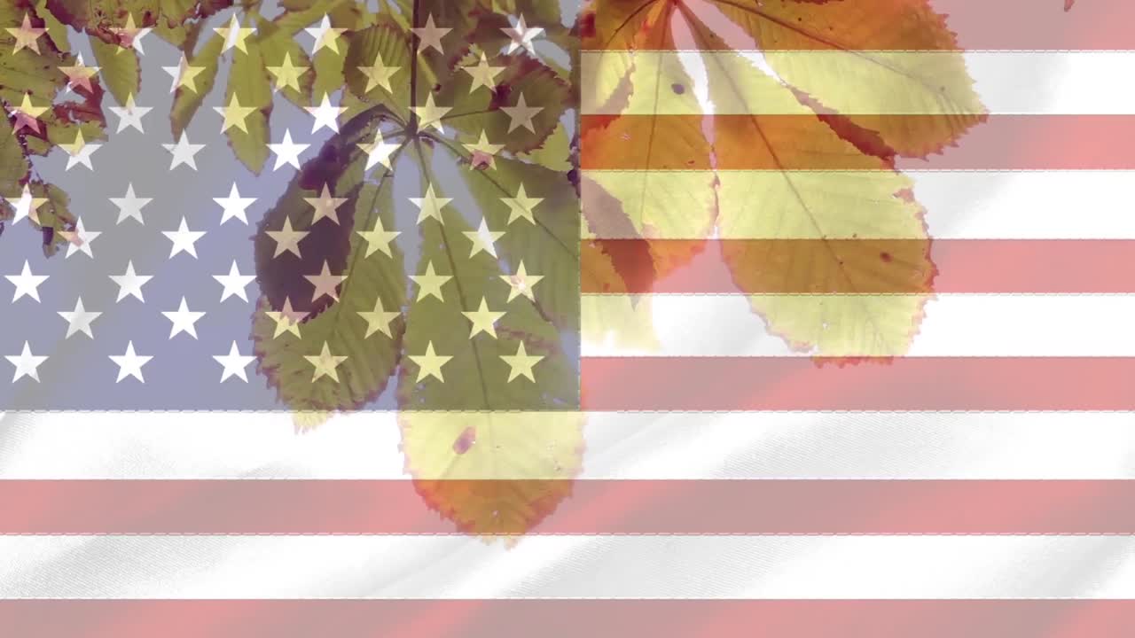 vídeo de la bandera estadounidense