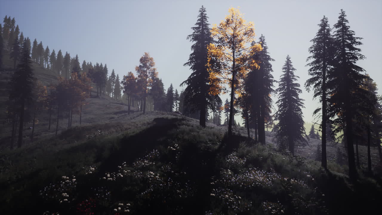 프랑스 알프스 산맥 의 꼭대기