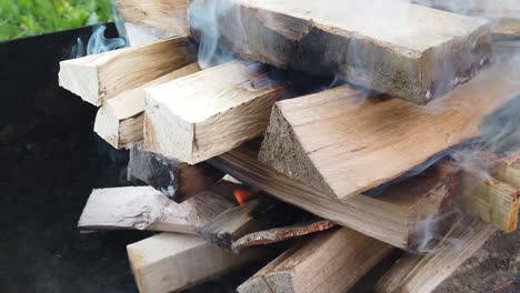 burning wood logs for a barbecue