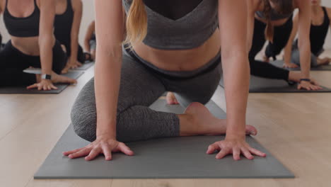 yoga class instructor teaching group of young women downward-facing dog pose on exercise mat enjoying healthy lifestyle training meditation practice in fitness studio